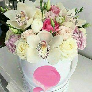 Meet your Posher, Soodabeh